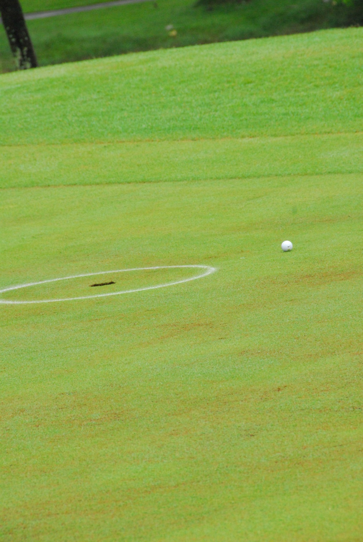 PRO15 157 GOLF DSC 0150.JPG